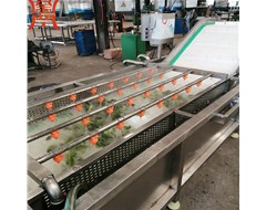 蔬菜清洗機風干線具體操作步驟