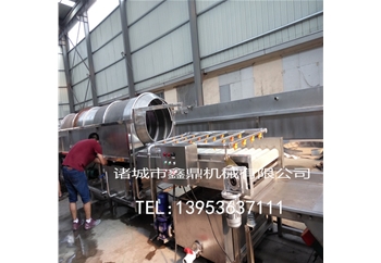 滾筒式黃瓜清洗機廠家