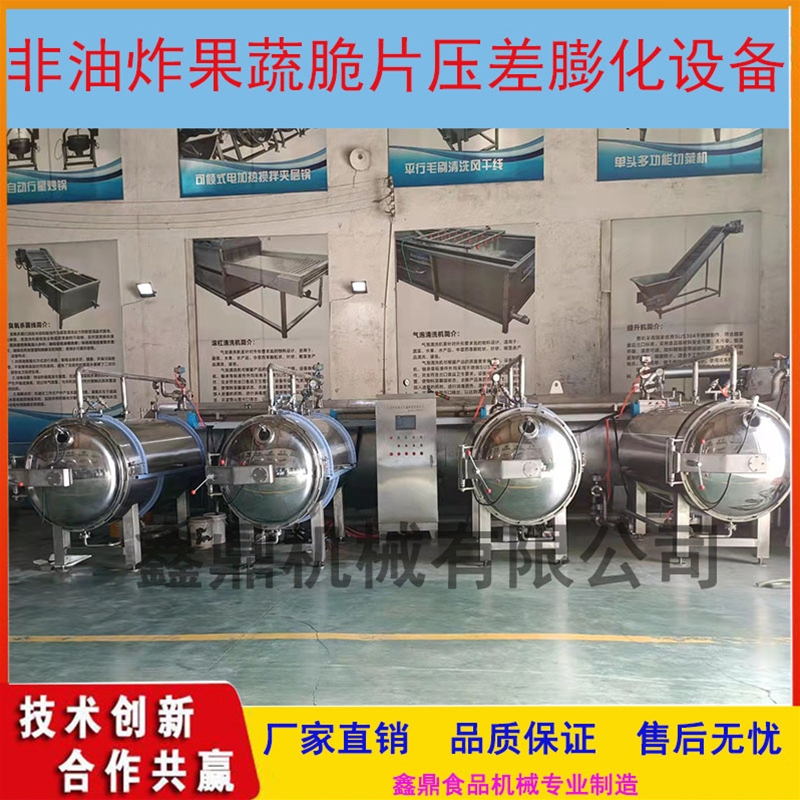 紅棗脆片非油炸真空膨化機干燥機