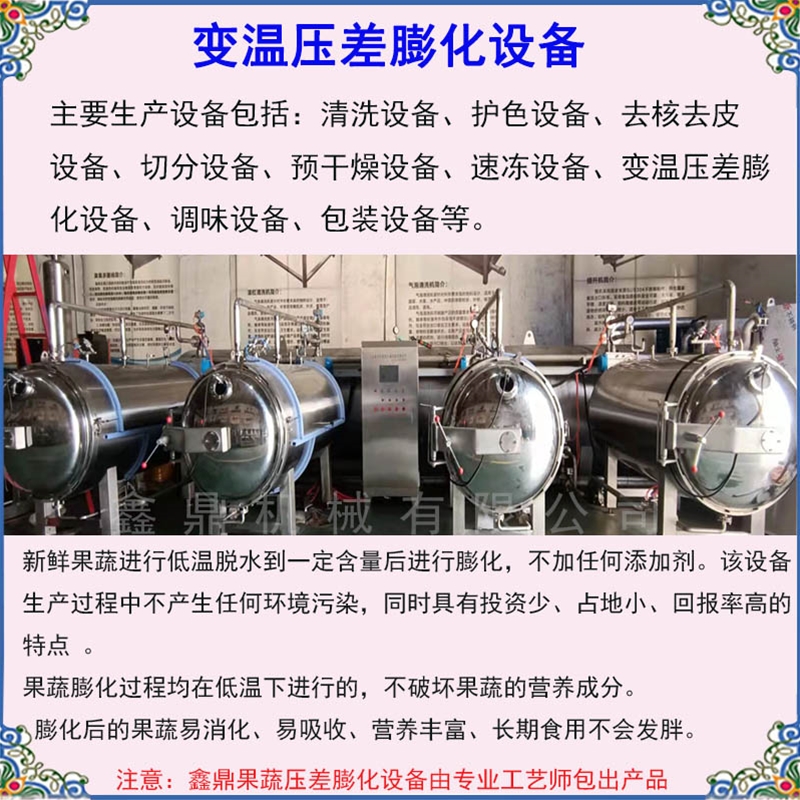 鑫鼎全自動果蔬膨化機價格 