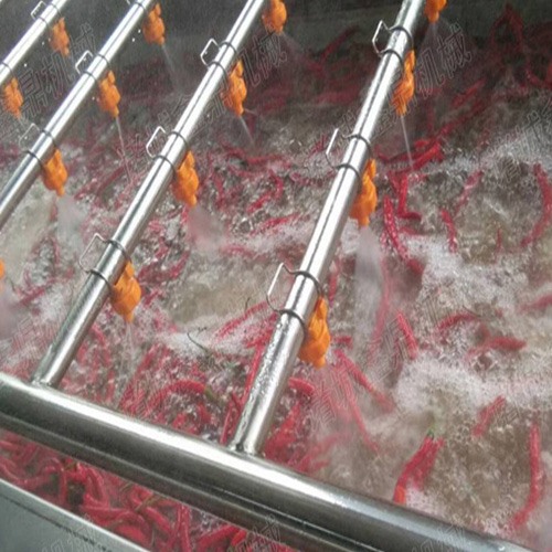 朝天椒辣椒清洗機
