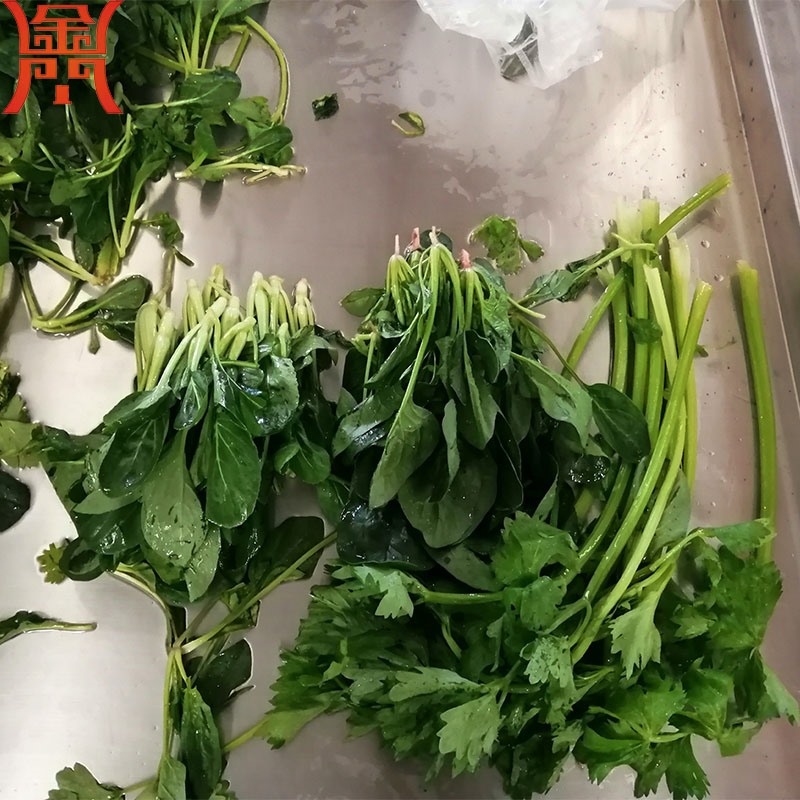 芹菜清洗機 葉莖類蔬菜清洗專用