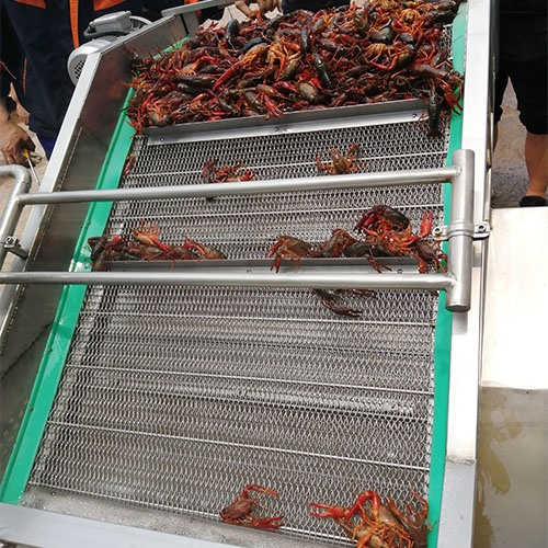 大連海鮮氣泡清洗機(jī)