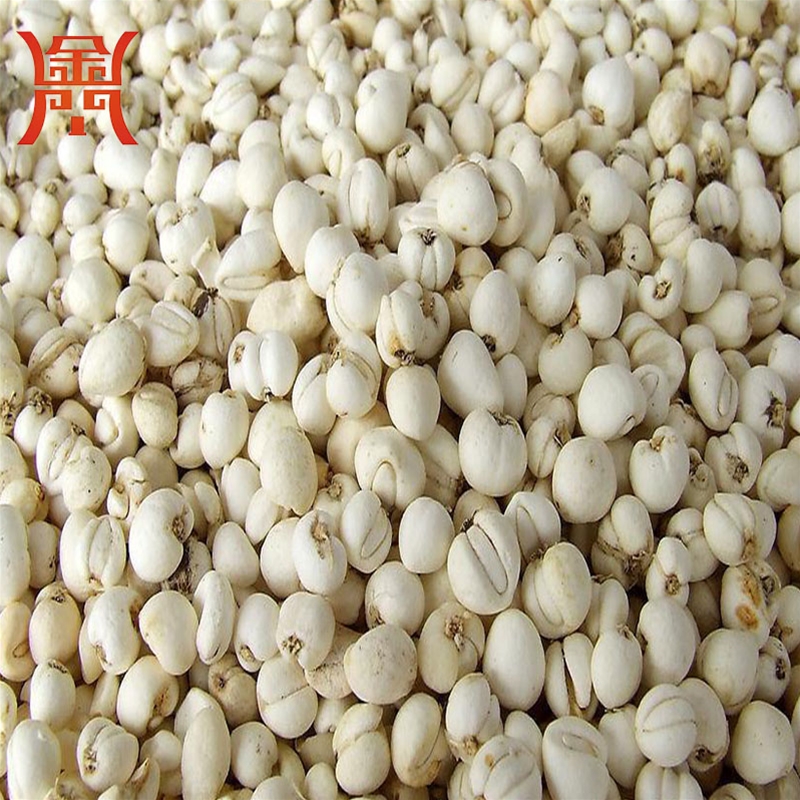 貝母清洗機
