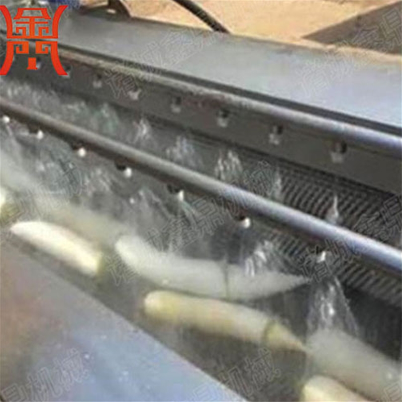 白蘿卜清洗機