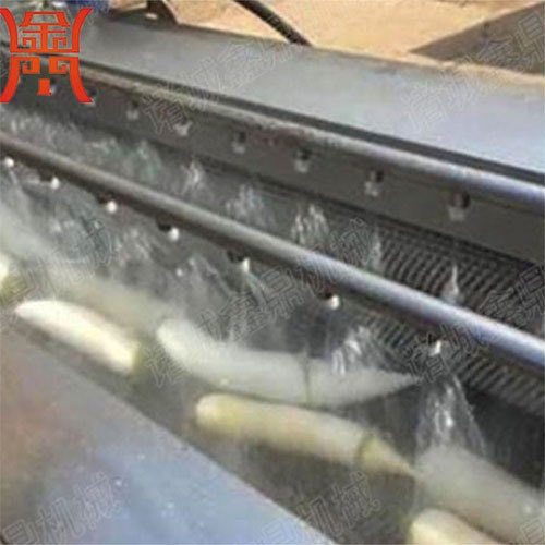 白蘿卜清洗機(jī)