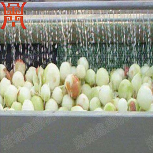 洋蔥 清洗機