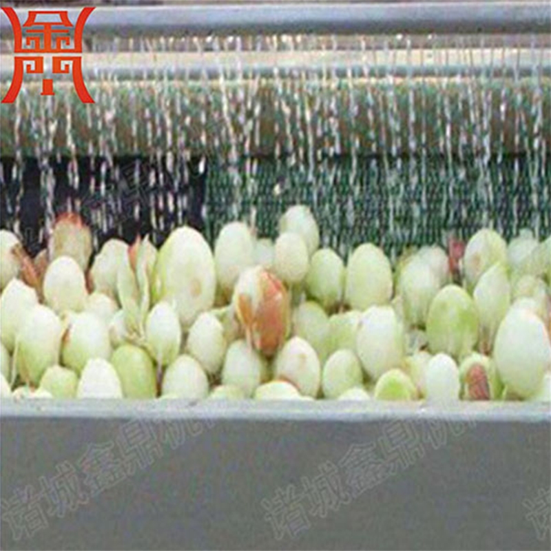 洋蔥 清洗機