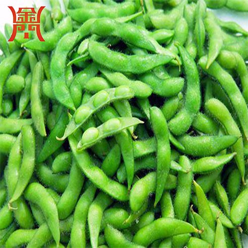 毛豆清洗機