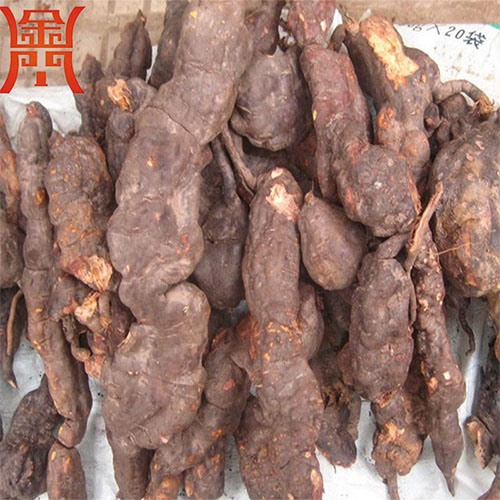 何首烏清洗機(jī)