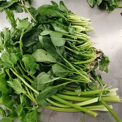香蔥 大蔥清洗機(jī)