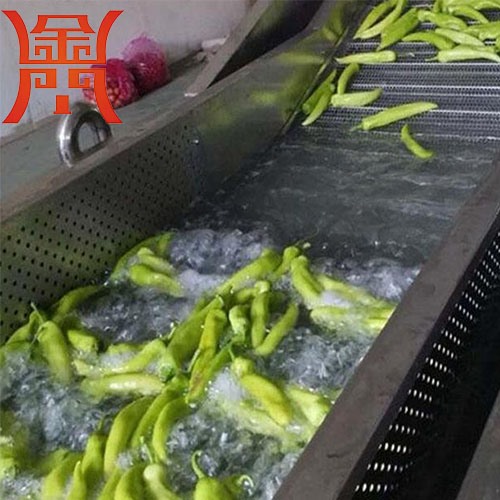 辣椒清洗風干流水線