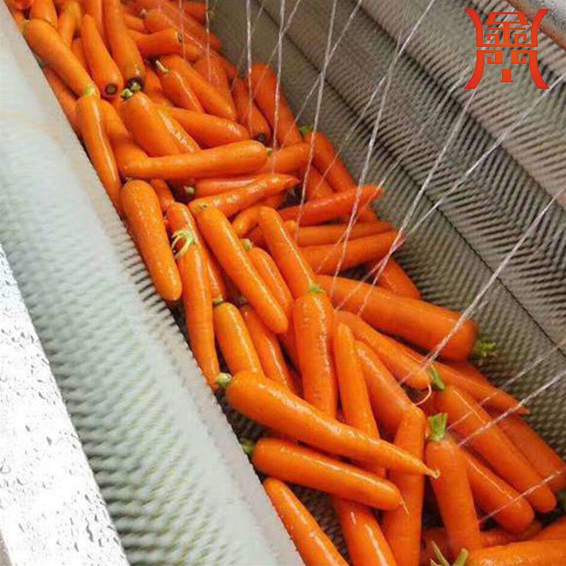  蘿卜清洗機 根莖類清洗機