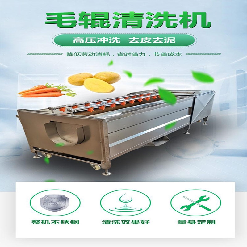  全自動清洗去皮設備