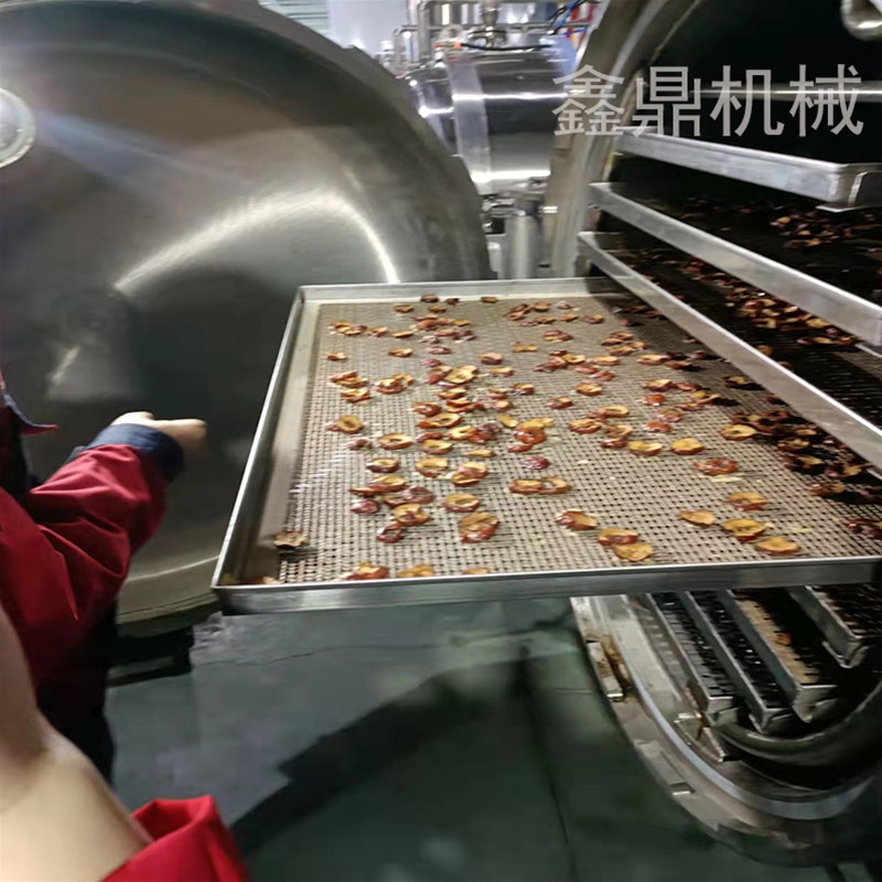 脆棗非油炸膨化食品加工設備加工