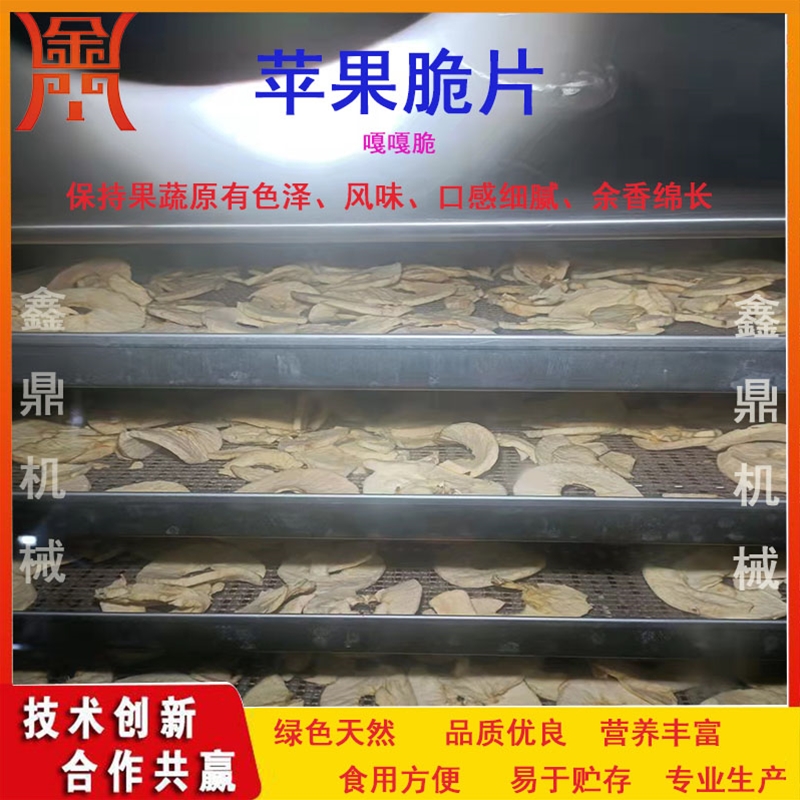 非油炸蘋果脆片加工機(jī)器值得信賴