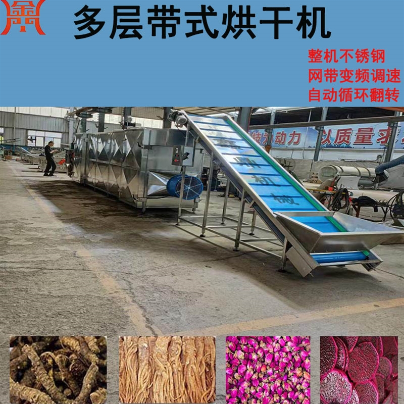 山楂帶式干燥機