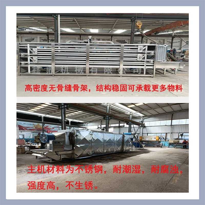 魷魚干大型網鏈干燥機