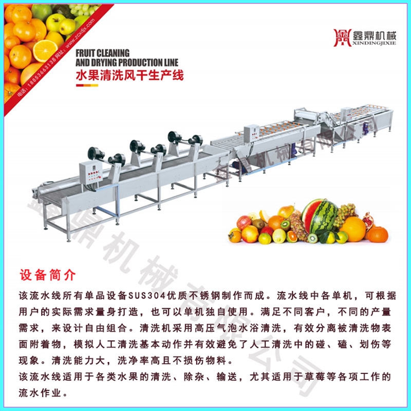 蔬菜水果凈菜旋流連續加工流水線設備