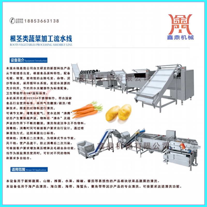 果蔬凈菜渦流清洗加工流水線(xiàn)加工定制