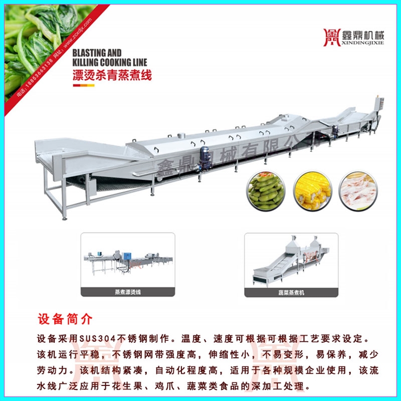 蔬菜清洗漂燙加工設備源頭廠家