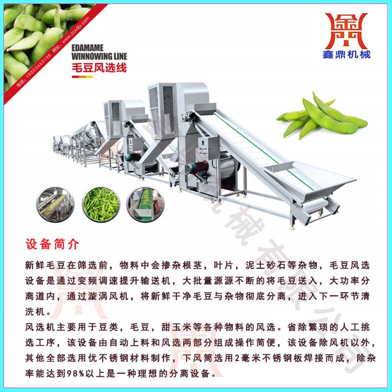 毛豆風選清洗深加工設備生產廠家